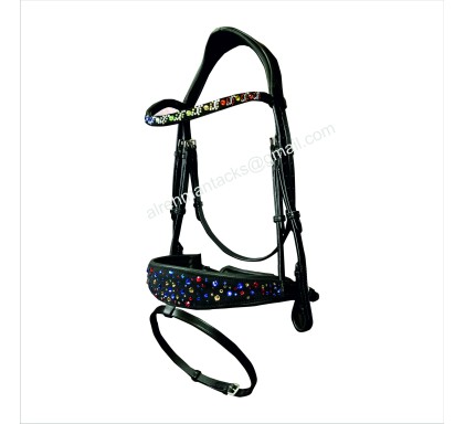 Leather Bridle 